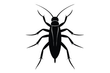 silhouette of a black beetle