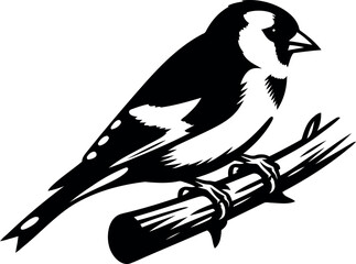 Goldfinch Perched on a Branch A Black and White Illustration