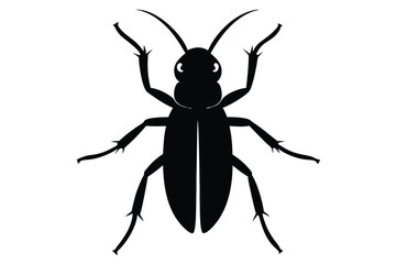 vector illustration of a black beetle