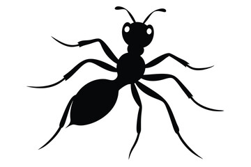 vector illustration of an ant