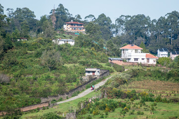 Exploring the scenic beauty of Kodaikanal with hills and charming houses along winding paths