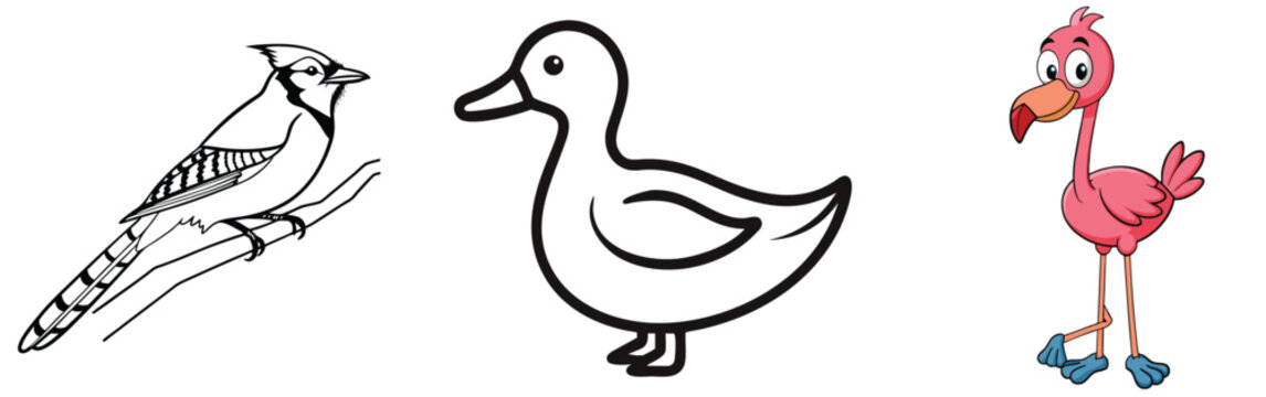 Cartoon birds collection featuring blue jay duck and flamingo illustrations against white background