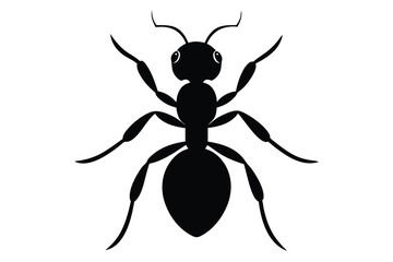 vector illustration of a spider