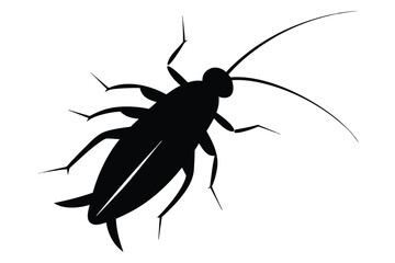 silhouette of a black beetle