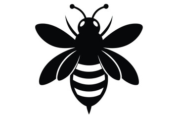 bee and flower
