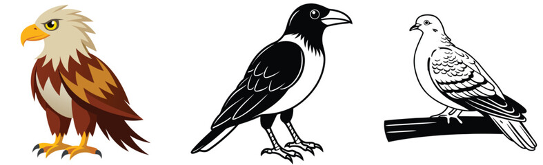 Obraz premium Set of cartoon bird illustrations eagle crow and dove vector graphics