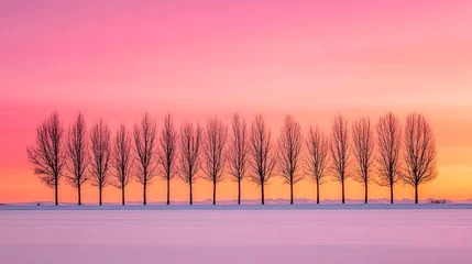 Fototapeten Silhouetted Trees in a Row Against a Pink and Orange Sunset © Ani