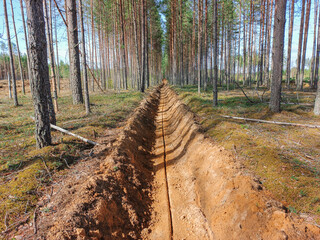 Fototapety na wymiar - Fototapeta24.pl