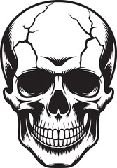 Human Skull Silhouette with Cracked Details Black and White Vector

