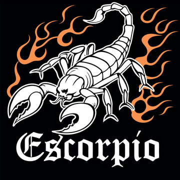 Bold scorpion illustration with fiery accents and the word "Escorpio." This striking graphic art piece embodies strength and intensity, perfect for zodiac enthusiasts and cool apparel designs.