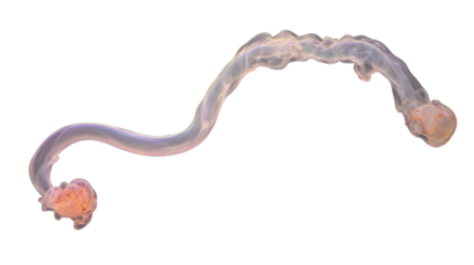 Pink smoke forming an arch on transparent background