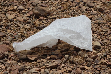 A plastic bag on the ground, Plastic environmental impact