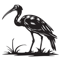 Striking Black and White Ibis Illustration A Detailed Silhouette of a Graceful Bird Standing Tall silhouette