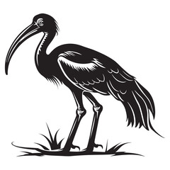Striking Black and White Ibis Illustration A Detailed Silhouette of a Graceful Bird Standing Tall silhouette