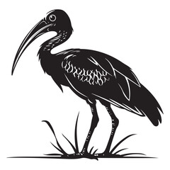 Striking Black and White Ibis Illustration A Detailed Silhouette of a Graceful Bird Standing Tall silhouette