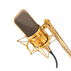 Professional Gold Condenser Microphone for Recording and Broadcasting