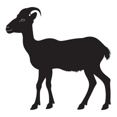 Bighorn sheep silhouette vector, Majestic ram silhouette