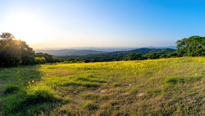 Obraz premium Golden meadow at sunset, mountain view