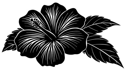 hibiscus flower silhouette © SUHEL AHMED