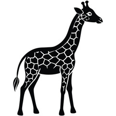 Obraz premium Cute Baby Giraffe Long Neck Silhouette Art