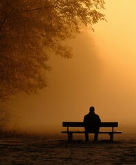 Person rests on a bench in park on foggy morning