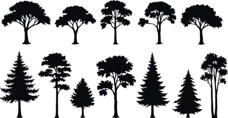 Fototapeta premium Silhouettes of diverse tree species in various shapes and sizes