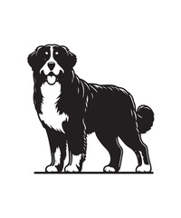 Silhouette Bernese Mountain Dog Black Vector white background illustration Style 