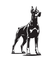 Silhouette Dobermann Dog Black Vector white background illustration Style 