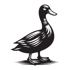 Silhouette Duckt Black Vector white background illustration Style 