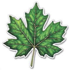 Fototapeta premium Vibrant green maple leaf graphic