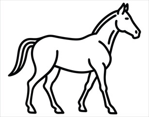 Wild Horse Line Illustration