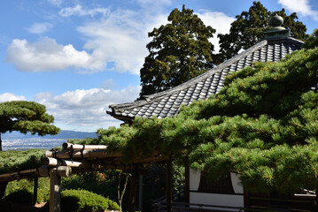 善峯寺　遊龍の松【天然記念物】