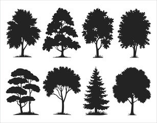 Birch Tree Silhouette with Wildlife