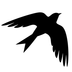 A black silhouette of a bird in flight, showcasing its elegant form.