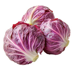 Obraz premium Trio of radicchio heads exhibiting vibrant purple and white veined foliage