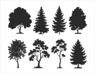 Simple Birch Tree Silhouette for Crafts