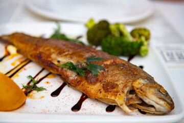 Fried trout with a white plate with vegetables