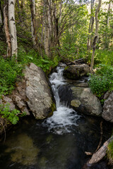 Lower Cascade from Bridal Veil Falls