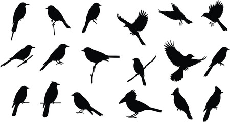 Black Bird Silhouettes: Diverse Songbirds & Small Birds Perched on Branches & Flying. Avian Wildlife Vector Icon Set. AI Generative
