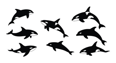 Collection of Orca (Killer Whale) Illustrations: Marine Mammals with Markings in Various Poses. Sea Life Vector Set. AI Generative
