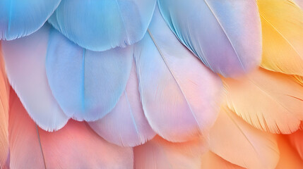 fondo de plumas en color pastel plumas de aves elegantes abstracto ligeras y suaves belleza de la naturaleza 