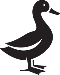 Black Duck Silhouette Vector Logo