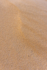 Multiple Human Footprints on Soft Golden Desert Sand at Sunset with Wind-Sculpted Patterns and a Sense of Solitude and Adventure