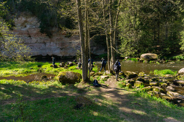 Spring Forest River Flowing Through Lush Green Woodland with Sunlight and Shadows