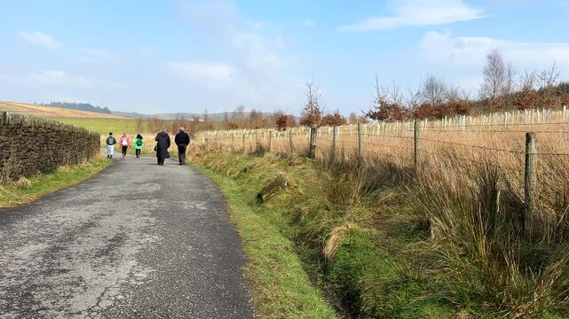 Group of five people walking in English countryside in spring, rear view following walkers on the road past tree saplings plantation.
