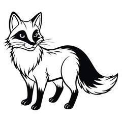 Obraz premium Red Fox vector illustration white background