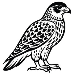 Fototapeta premium Red -Tailed Hawk vector illustration white background
