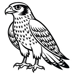 Red -Tailed Hawk vector illustration white background