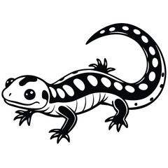 Red-Spotted Newt vector illustration white background