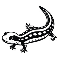 Red-Spotted Newt vector illustration white background